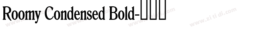 Roomy Condensed Bold字体转换 Roomy Condensed Bold字体转换